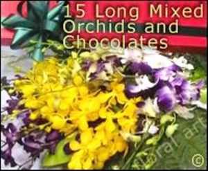 15 Long Mixed Orchids with Chocolates