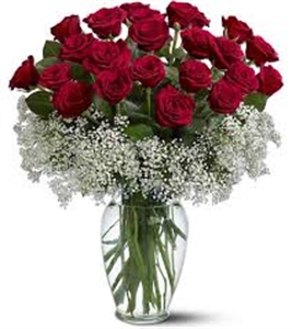 40 Long Stem Red Roses with Gyp (Glass Vase Included)