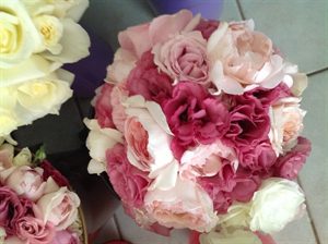 Maid #2 Peonies in 2-Tone Pink